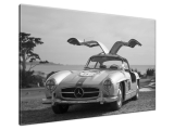 Obraz na stenu Mercedes Benz 300SL - Axion23