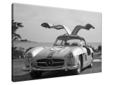 Obraz na stenu Mercedes Benz 300SL - Axion23