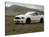 Obraz Mustang GT V8 - Brett Levin