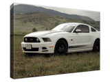 Obraz Mustang GT V8 - Brett Levin