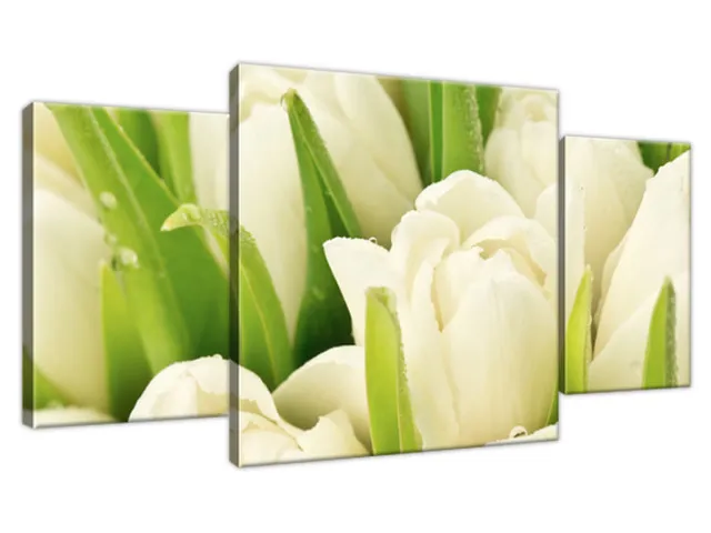 Obraz Tulipány pokryté rosou