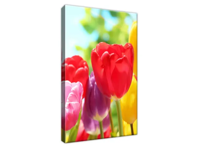 Obraz Tulipány v červenej a žltej farbe